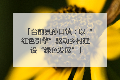 台前县孙口镇：以“红色引擎”驱动乡村建设“绿色发展”