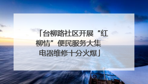 台柳路社区开展“红柳情”便民服务大集 电器维修十分火爆