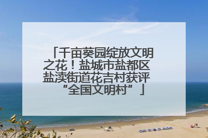 千亩葵园绽放文明之花！盐城市盐都区盐渎街道花吉村获评“全国文明村”
