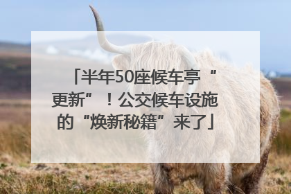 半年50座候车亭“更新”！公交候车设施的“焕新秘籍”来了