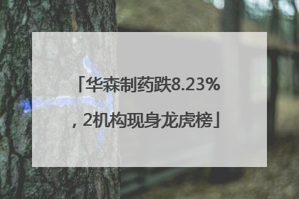 华森制药跌8.23%，2机构现身龙虎榜