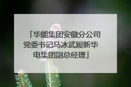 华能集团安徽分公司党委书记马冰武履新华电集团副总经理