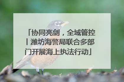 协同亮剑，全域管控丨潍坊海警局联合多部门开展海上执法行动