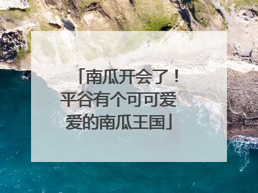 南瓜开会了！平谷有个可可爱爱的南瓜王国