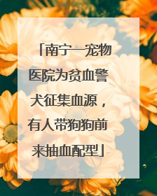 南宁一宠物医院为贫血警犬征集血源，有人带狗狗前来抽血配型