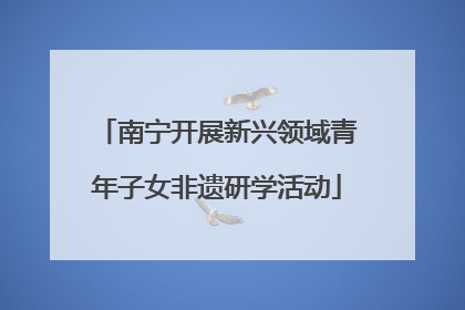 南宁开展新兴领域青年子女非遗研学活动