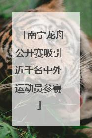 南宁龙舟公开赛吸引近千名中外运动员参赛