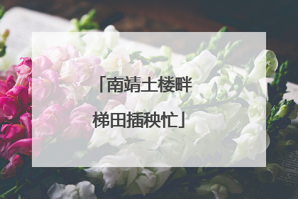 南靖土楼畔 梯田插秧忙