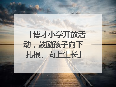 博才小学开放活动，鼓励孩子向下扎根、向上生长