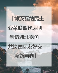 博茨瓦纳民主变革联盟代表团到访湖北嘉鱼 共绘国际友好交流新画卷
