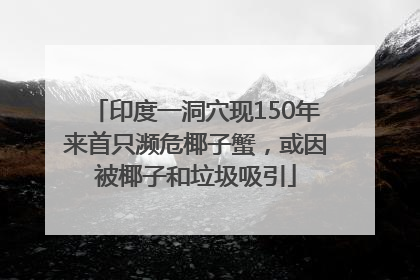 印度一洞穴现150年来首只濒危椰子蟹，或因被椰子和垃圾吸引