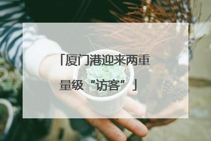 厦门港迎来两重量级“访客”