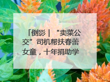 倒影｜“卖菜公交”司机帮扶春蕾女童，十年捐助学金2.5万元