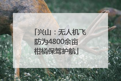 兴山：无人机飞防为4800余亩柑橘保驾护航
