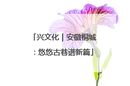 兴文化｜安徽桐城：悠悠古巷谱新篇