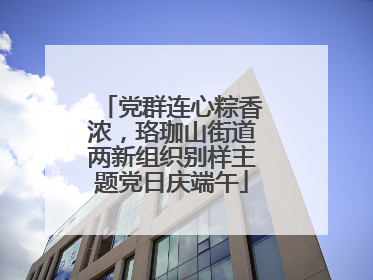 党群连心粽香浓，珞珈山街道两新组织别样主题党日庆端午