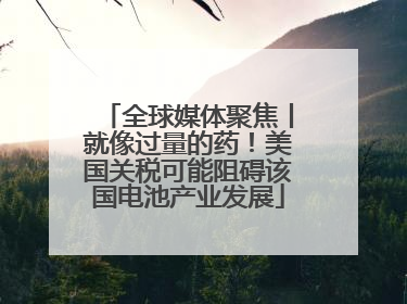 全球媒体聚焦丨就像过量的药！美国关税可能阻碍该国电池产业发展