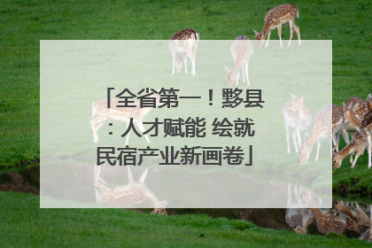 全省第一！黟县：人才赋能 绘就民宿产业新画卷
