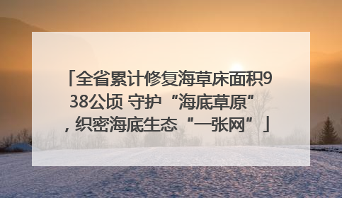 全省累计修复海草床面积938公顷 守护“海底草原”，织密海底生态“一张网”