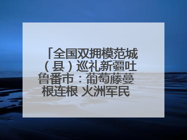 全国双拥模范城（县）巡礼新疆吐鲁番市：葡萄藤蔓根连根 火洲军民心连心