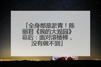全身都是淤青！陈丽君《我的大观园》幕后：面对滚楼梯，没有做不到