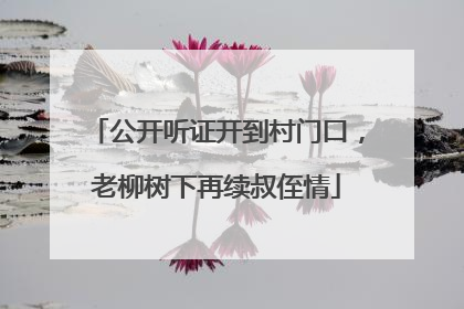 公开听证开到村门口，老柳树下再续叔侄情