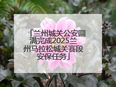 兰州城关公安圆满完成2025兰州马拉松城关赛段安保任务
