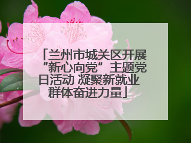 兰州市城关区开展“新心向党”主题党日活动 凝聚新就业群体奋进力量