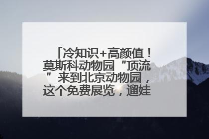 冷知识+高颜值！莫斯科动物园“顶流”来到北京动物园，这个免费展览，遛娃拍照两不误！