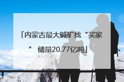 内蒙古最大碱矿找“买家” 储量20.77亿吨