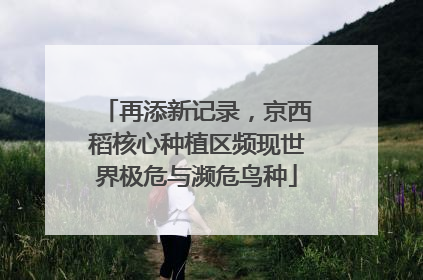 再添新记录，京西稻核心种植区频现世界极危与濒危鸟种
