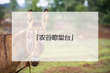农谷瞭望台