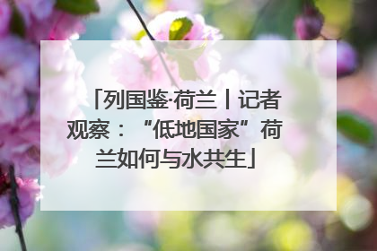 列国鉴·荷兰丨记者观察:“低地国家”荷兰如何与水共生