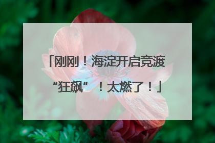 刚刚！海淀开启竞渡“狂飙”！太燃了！