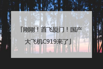 刚刚！首飞厦门！国产大飞机C919来了