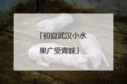 初夏武汉小水果广受青睐
