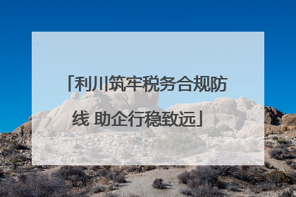 利川筑牢税务合规防线 助企行稳致远