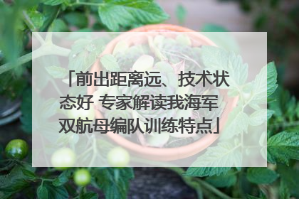 前出距离远、技术状态好 专家解读我海军双航母编队训练特点