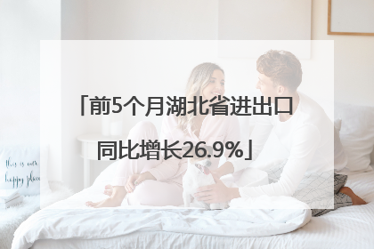 前5个月湖北省进出口同比增长26.9%