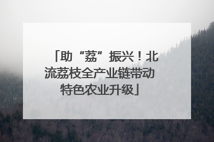 助“荔”振兴！北流荔枝全产业链带动特色农业升级