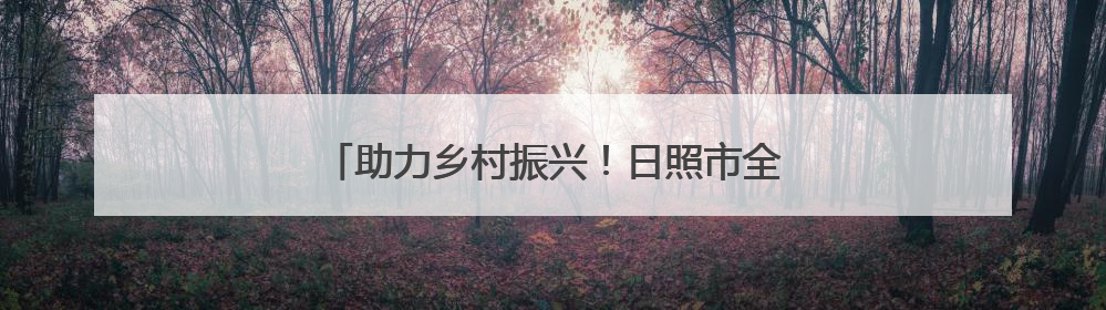 助力乡村振兴！日照市全面推广农业保险新政策