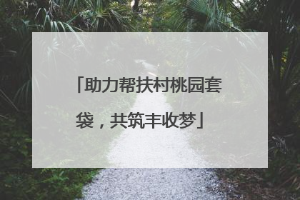 助力帮扶村桃园套袋，共筑丰收梦