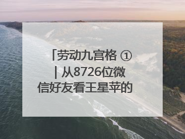 劳动九宫格 ①｜从8726位微信好友看王星苹的公益信仰与坚持