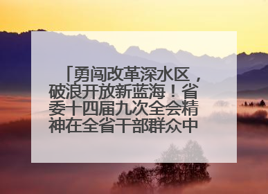 勇闯改革深水区，破浪开放新蓝海！省委十四届九次全会精神在全省干部群众中引发热烈反响