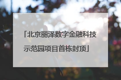 北京丽泽数字金融科技示范园项目首栋封顶