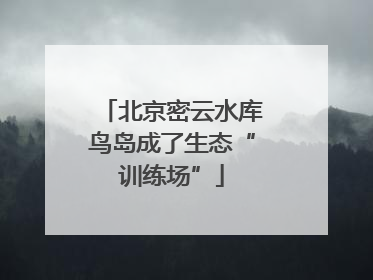 北京密云水库鸟岛成了生态“训练场”