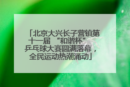北京大兴长子营镇第十一届 “和谐杯” 乒乓球大赛圆满落幕，全民运动热潮涌动
