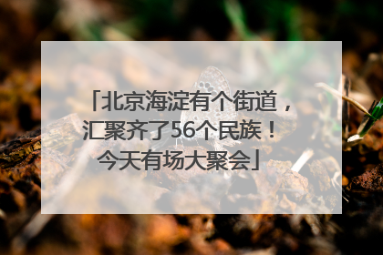 北京海淀有个街道，汇聚齐了56个民族！今天有场大聚会