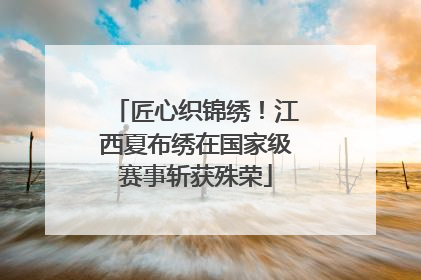 匠心织锦绣！江西夏布绣在国家级赛事斩获殊荣