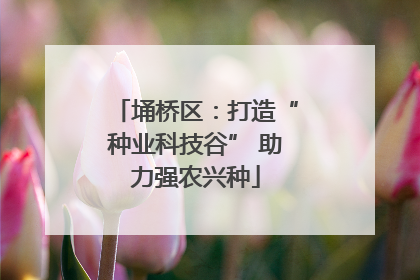 埇桥区：打造“种业科技谷” 助力强农兴种